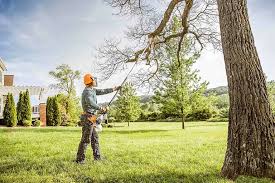 Best Hedge Trimming  in Ellwood City, PA